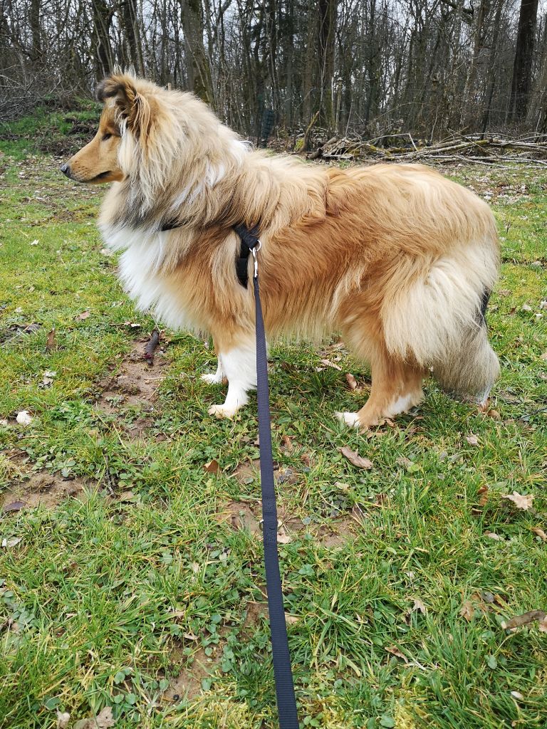 Phybie Of Little East Valley