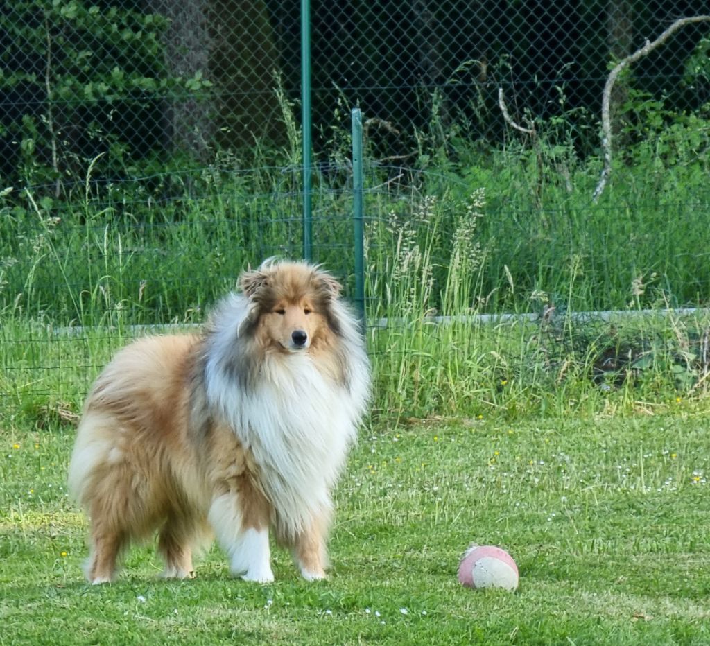 LUMEN